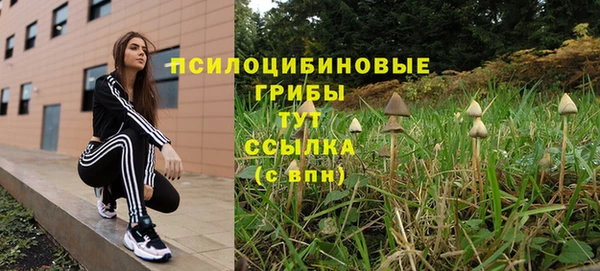 спиды Богородицк