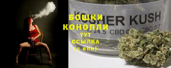 спиды Богородицк