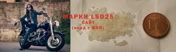 спиды Богородицк