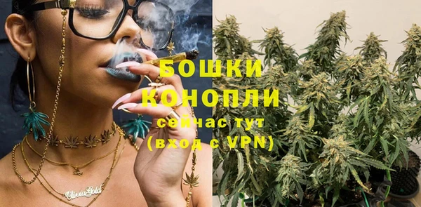 спиды Богородицк