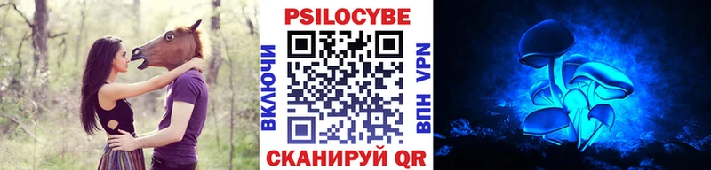 Псилоцибиновые грибы Psilocybe  цена   Учалы 